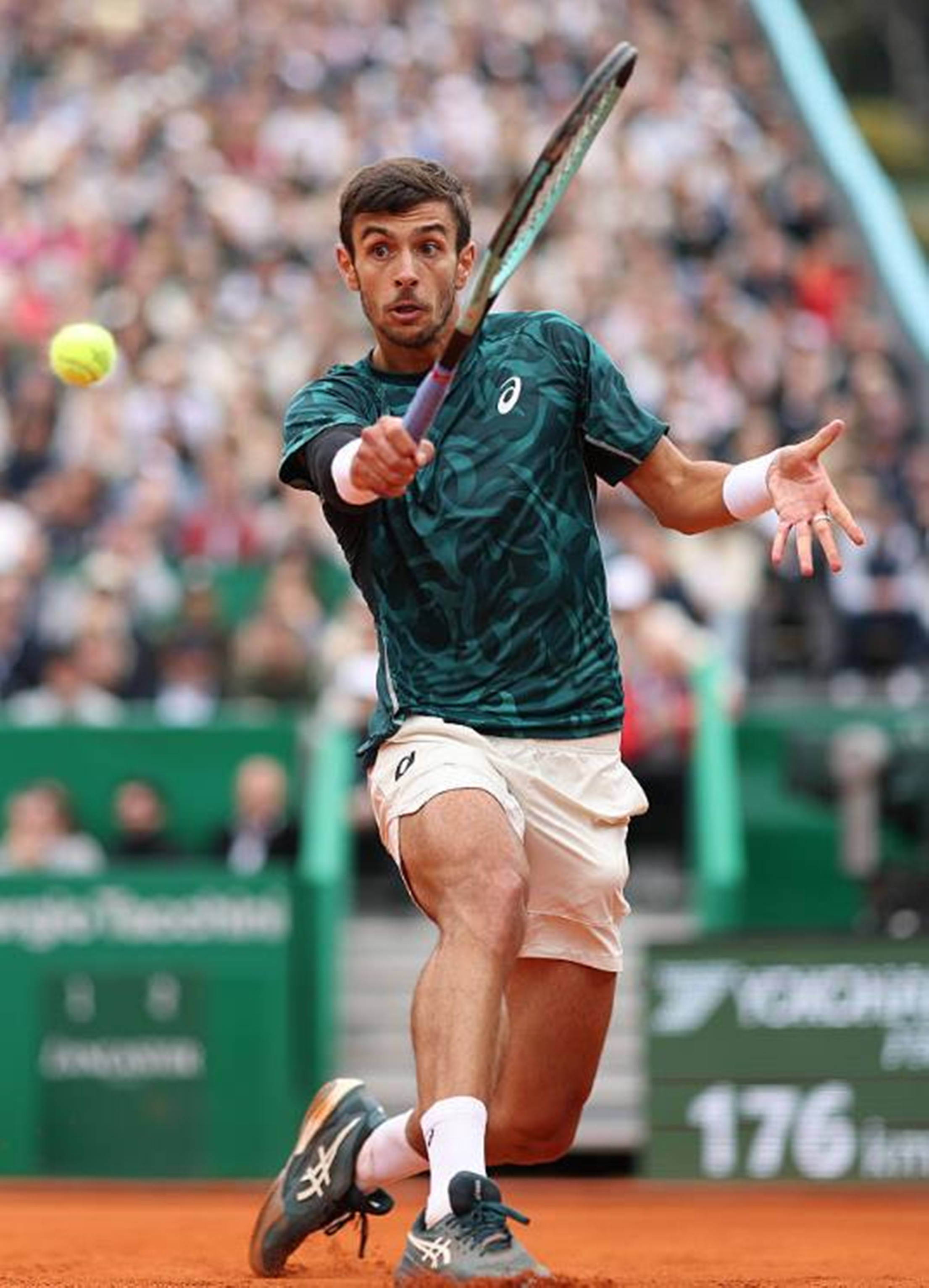 与王睿泽的 与王睿泽的