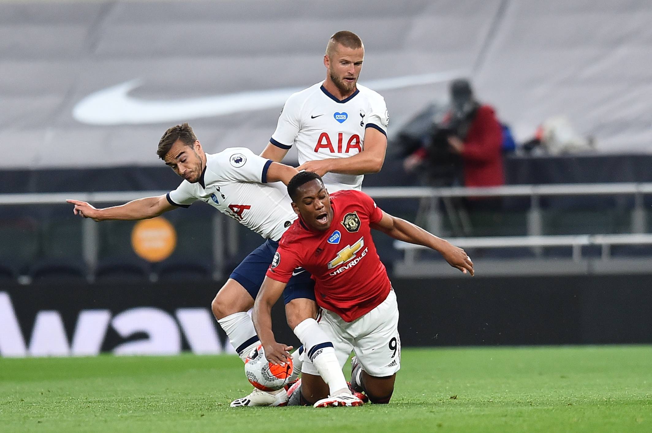 翼关键草丛 翼关键草丛